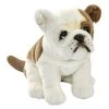 Anima PELUCHE BULLDOG FRANCAIS ASSIS - 30 CM -Jouets Soldes 0557eeecb3c60fb5633080b216875eae59dd4ca3 08025677