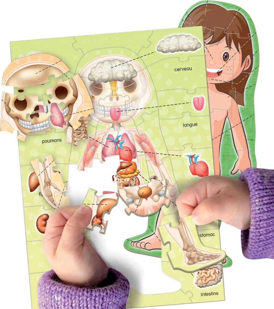 LE CORPS HUMAIN 6 LE CORPS HUMAIN – Image 4