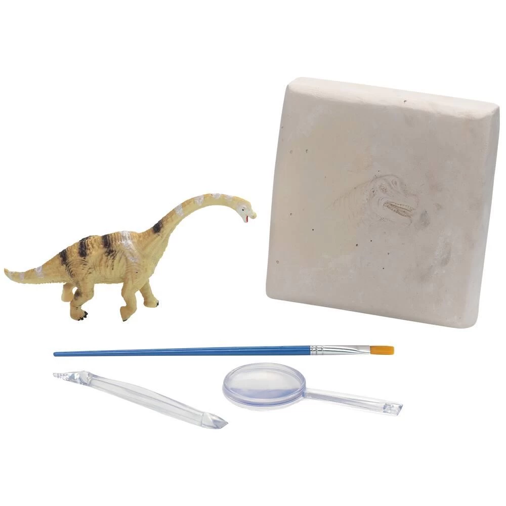 MON KIT D'EXPLORATION DINOSAURE - BRACHIOSAURUS 3 MON KIT D'EXPLORATION DINOSAURE - BRACHIOSAURUS