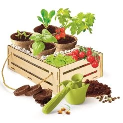 Clementoni PLAY FOR FUTURE - JARDIN ET POTAGER -Jouets Soldes 1dab0a8117a816257c9c31fc248034629d421b9b 04050896 02