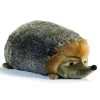 Anima PELUCHE HERISSON 47 CM -Jouets Soldes 2cd2dc12e48cd61ecdf7a355fa77dd41dcda3326 08027368