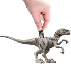 MATTEL JURASSIC WORLD : LE MONDE D'APRES - COFFRET FUREUR DU SPEED DINO -Jouets Soldes 3358b0888cba818d19519cb3723518e37b48f3a5 41002208 03