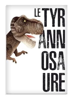 LE TYRANNOSAURE - L'ERE DES DINOSAURES -Jouets Soldes b135bfe927caaa07d635c93132751d9bba5d3b15 41031612 02