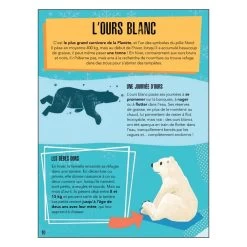 PUZZLE LA PLANETE EN DANGER 220 PIECES + LIVRE - LES GLACES 9 PUZZLE LA PLANETE EN DANGER 220 PIECES + LIVRE - LES GLACES -Jouets Soldes b26c4932e856b636fb4567d466a743c0fb85a3b0 04082475 04