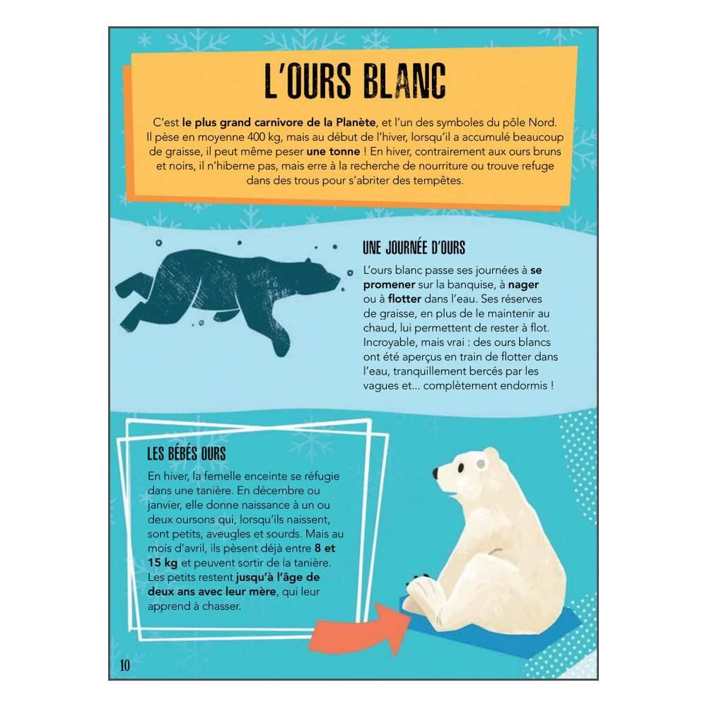 PUZZLE LA PLANETE EN DANGER 220 PIECES + LIVRE - LES GLACES 6 PUZZLE LA PLANETE EN DANGER 220 PIECES + LIVRE - LES GLACES – Image 4