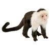 Anima PELUCHE SINGE CAPUCIN - 20 CM -Jouets Soldes b5d4f05a7a073e9e5bd8088e8d8f79bedef2b25b 08025982